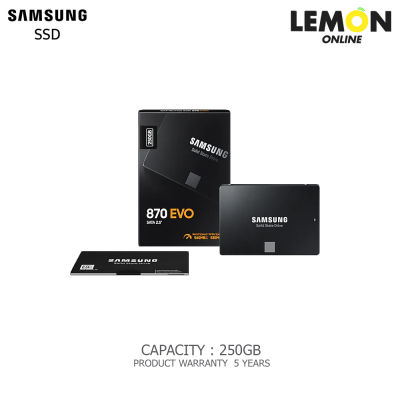 SSD SAMSUNG 870 EVO  SATA 2.5 : MZ-77E250BW