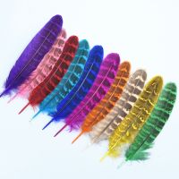 wholesale 10-20 pcs natural quality female pheasant feathers 4-6inches /10-15cm long diy decorative accessories