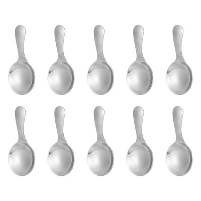 10 Pcs Stainless Steel Short Handle Spoons Mini Salt Spoons Condiments Spoon Dessert Spoon Tea Coffee Spoons,Silver