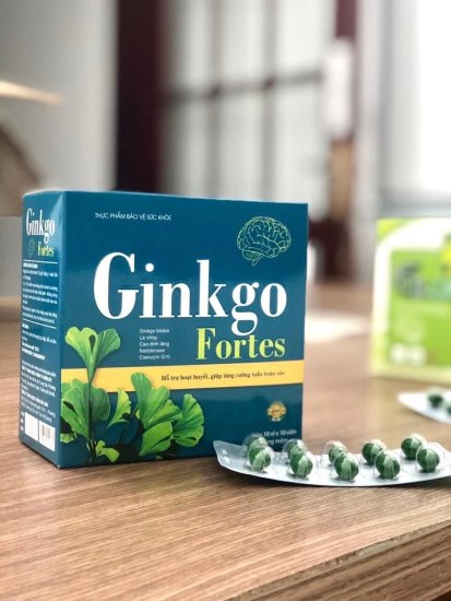 Viên uống hoạt huyết ginkgo fortes tăng cường tuần hoàn máu não - ảnh sản phẩm 4