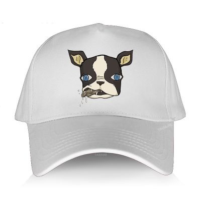 KBCQ Fashion brand Baseball cap sunmmer Hat unisex Iggy the dog Jojos Bizarre Adventure YAWAWE Man yawawe Caps Cool Outdoor Boy hats
