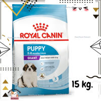 ?Lotใหม่ พร้อมส่งฟรี? Royal Canin Giant Puppy อาหารสำหรับสุนัขขนาดยักษ์ อายุ2-8เดือน ขนาด 15 kg.  ✨