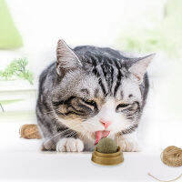 Healthy Cat Catnip ของเล่น Stick-On ฟันกราม Cat Catnip Ball ของเล่นขจัดผมลูกส่งเสริมการย่อยอาหารฝุ่นผลิตภัณฑ์สำหรับสัตว์เลี้ยง