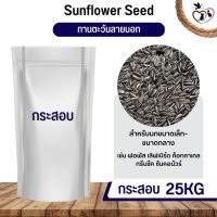 ทานตะวันลายนอก Strip SunFlower อาหารนก กระต่าย หนู กระต่าย กระรอก ชูก้า และสัตว์ฟันแทะ (กระสอบ 25KG)