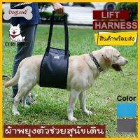 Cori Petto สินค้าพร้อมส่ง Doglemi ที่พยุงตัวสุนัข LIFT HARNESS ลดแรงกระแทกที่ข้อเข่า ข้อสะโพก ช่วยพยุงตัวสุนัขให้ลุกยืนได้