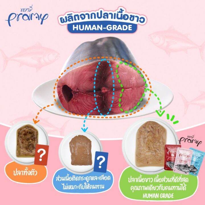 ส่งฟรี-pramy-พรามี่-อาหารเปียกแมว-อาหารแมว-อาหารเบียก-food-cat-อาหารลูกแมว-ลูกแมว-ทาสแมว-cat-น้องแมว-อาหารบำรุงสุขภาพ-ขนาด-70-กรัม