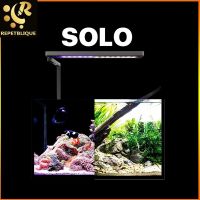 MICMOL SOLO Smart LED