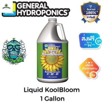 [สินค้าพร้อมจัดส่ง]⭐⭐[General Hydroponics] - Liquid KoolBloom (ขวดแท้1Gallon) ส่งเสริมการออกดอก เพิ่มการผลิตน้ำมัน ดอกใหญ่และน้ำหนักเพิ่มขึ้น[สินค้าใหม่]จัดส่งฟรีมีบริการเก็บเงินปลายทาง⭐⭐
