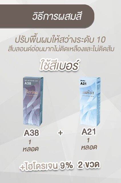 set-berina-เบอริน่า-เซตสีผม-2-กล่อง-earth-gray-สีน้ำตาลโทนน้ำตาลสว่าง-a38-a21