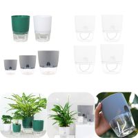 2 Layer Self Watering Plant Pot with Water Container Automatic Water Absorbing Flower Pot Hydroponic Plant Pot Home Garden Decor