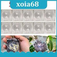 QB4LA 5cm 10pcs Plant Tree Rooting Ball Rooter Box Plastic Case Transparent Flower Grafting Growing High-pressure Breeding