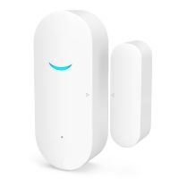 Smart Wifi Door Magnetic Detector Wifi Door and Window Sensor Door Magnetic Switch Alarm Anti-Theft Alarm Sensor