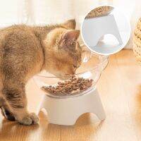 With Stand Base Pet Food and Water Bowls Feeding Products For Cats Dogs Feeders Cat Bowl Transparent Non-slip