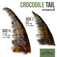 หางจระเข้อบแห้ง 1 ชิ้น Crocodile Tail  Hoya Barkery ขนมน้องหมา