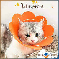 Orna คอลล่าแมว ปลอกคอดอกไม้ ปลอกคอกันเลีย คอลล่าสุนัข  Cat coll