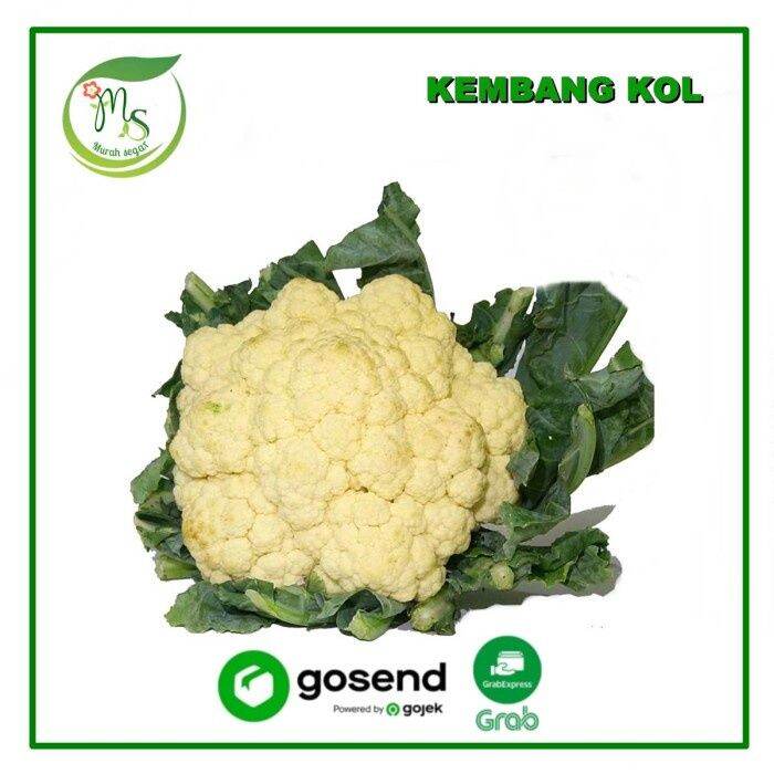 Kembang Kol Sayuran Kembang Kol Segar 400 500 Gr Lazada Indonesia