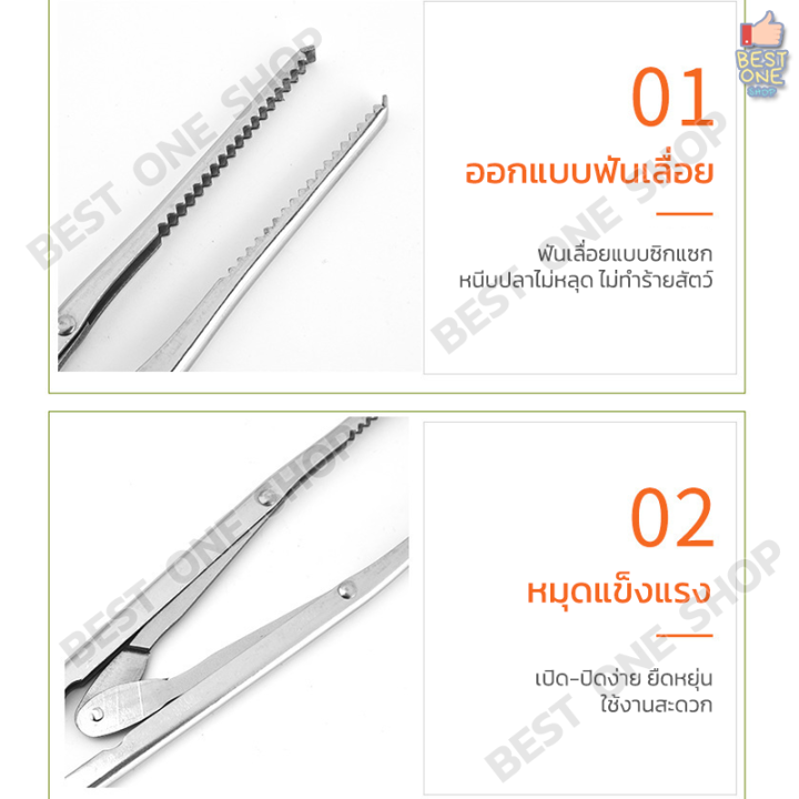 a205-คีมจับสัตว์น้ำ-ที่คีบปลาไหล-จับปลาไหล-ปลาดุก-ปู-กุ้ง-ปากโค้ง-ปากตรง-ขนาด-52cm-70cm-ที่คีบปู-กรรไกรคีบปลา-คีมจับปลา