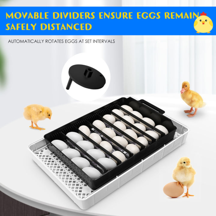 เครื่องฟักไข่อัตโนมัติดิจิตอลตู้อบไข่สามารถ-incubate-4-35ไข่-อุณหภูมิควบคุม-incubation-วันจอแสดงผล-เครื่องต้มไข่-ไข่อัตโนมัติเครื่องต้มไข่ใช้-hatch-ทุกชนิดของไข่ไก่-เป็ด-ห่าน-quail