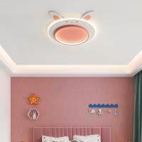 [COD] minimalist pink childrens room bedroom ceiling wrought iron bunny warm round decoration