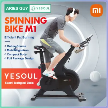 Xiaomi yesoul s3 online zwift