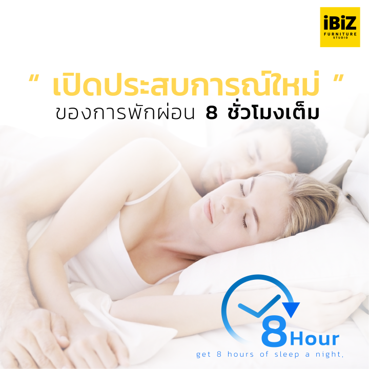 ซื้อ-1-แถม-1-หมอนหนุนขนห่านโรงแรม-6-ดาว-goose-down-imitation-6-star-hybrid-healthy-pillow