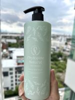 ?? แชมพูสมุนไพรธรรมชาติ สนแดง จากเกาหลีใต้ Phytopine Natural Hair Shampoo 피토파인 내추럴 헤어샴푸 [400ml 1ea]