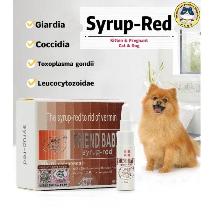 syrup red Giardia coccidia toxoplasma cats and dogs blood jelly stool
