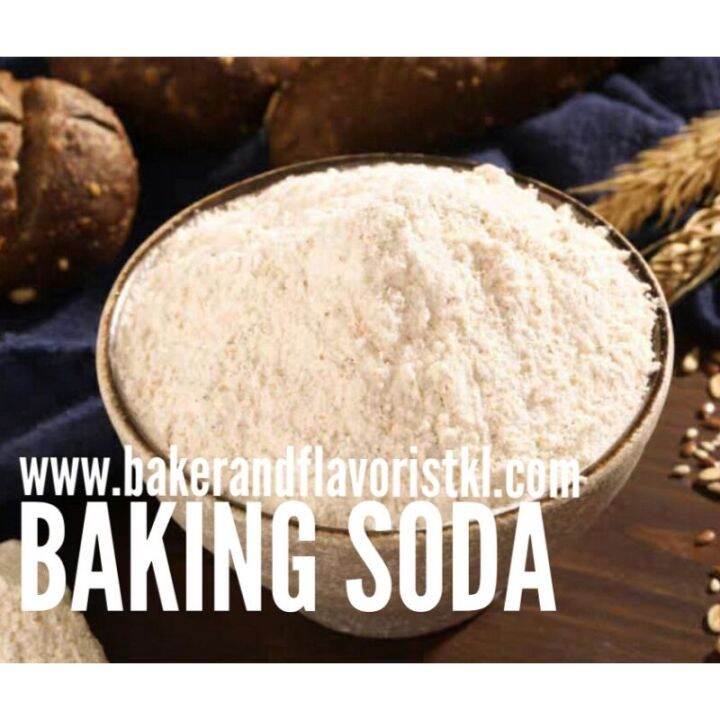 Baking Soda Powder 250g Food Grade sodium powder 苏打粉 serbuk Penaik self ...