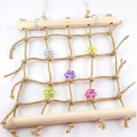 Parrot Climbing Net Game Toy Nature Rope Swing Stand Netting Ladder For Bird Colorful Bead Chewing Toys Pet Supplies 40X24cm