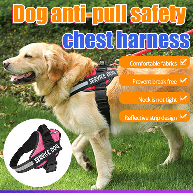 xiaopo Heavy Duty Dog Harness and Leash for Medium to Large Breeds by