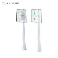 ZHIBAI USB แปรงสีฟันไฟฟ้าแบบชาร์จไฟบ้านอัตโนมัติ IPX7 แปรงสีฟันแบบพกพากันน้ำ 3 โหมดการล้าง