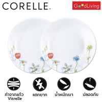 Corelle Daisy Field จานอาหาร จานแก้ว ขนาด 8.5 นิ้ว (21 cm.) จำนวน 2 ชิ้น [C-03-420-DSF-2]