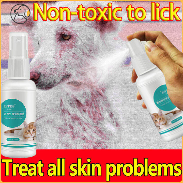 😻Doctor recommended😻Pet skin treatment spray Pet skin care spray 100ml ...