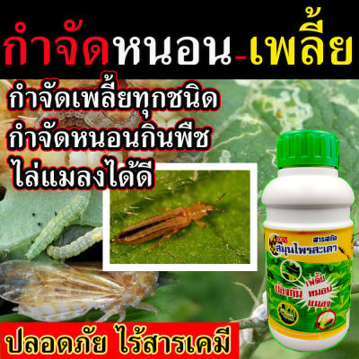 **พร้อมส่ง** สารสกัด น้ำสะเดาแท้ 100% กำจัดเพลี้ย กำจัดหนอน กำจัดแมลง ปลอดภัย ไร้สารเคมี สารสกัดธรรมชาติ  ยาฉีดเพลี้ยแป้ง   ยาปราบเพลี้ยแป้ง