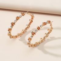 [COD] European and exaggerated hoop rose earrings temperament retro zircon geometric earring net red French