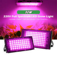 ไฟปลุกต้นไม้ 220V Full Spectrum LED  50W Grow Light ไฟช่วยต้นไม้ตัวเร็ว  ราคาถูกที่สุด