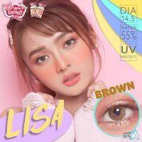 คอนเเทคเลนส์ Kitty kawaii Lisa brown (dia 14.5) เลนส์บิ๊ก