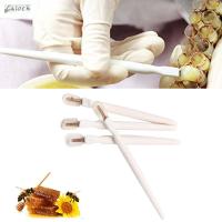 CALOCH ที่ขูดอุปกรณ์เครื่องมือนมผึ้งผึ้งแบบพกพา6ชิ้นเครื่องมือสำหรับเลี้ยงผึ้งปากกาปลูกถ่ายอวัยวะผึ้ง