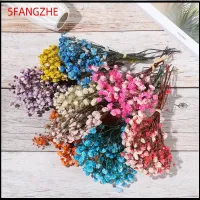 5FANGZHE ตกแต่ง วัสดุธรรมชาติ ตกแต่งงานแต่งงาน ของตกแต่งบ้าน มินิ Babysbreath ช่อดอกไม้ประดิษฐ์ธรรมชาติ ดอกไม้จริง ลำต้นของพืช