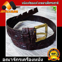 Genuine 100% Crocodile เก็บเงินปลายทาง เข็มขัดหนังจระเข้แท้ๆ เป็นช่วงกระดูกหลัง ถึงปลายห่าง (สีน้ำตาล)