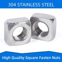 304 316 Stainless Steel Square Nuts Quadrate Nut Fasteners for M3 M4 M5 M6 M8 M10 M12