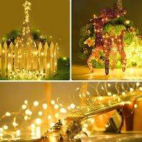 ZZOOI 16 Colors LED String Lights 5/10/20M Fairy Lights USB 4 Modes Remote Control Garland Light for Indoor/Outdoor/Holiday Decor