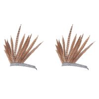 2X Feather Hair Band Tiara Bohemian Indian Gypsy Dance Show Headband Accessories National Style