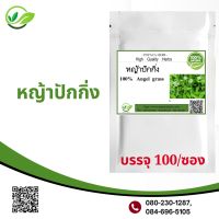 หญ้าปักกิ่ง 100 แคปซูล สมุนไพรAngel Grass100%ฟื้นฟูหลังเคมีบำบัด เสริมภูมิคุ้มกัน