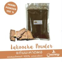 แก่นมะหาดผง Lakoocha Powder | สมุนไพร100% บดละเอียด | ขนาด 100 กรัม