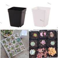 10pcs Planter Pot Trays Mini Square Plastic Flower Pot Home Office Succulent Plants Nursery Pot Green Garden Tools 6TH