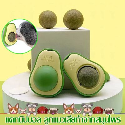 【Smilewil】Catnip แคทนิปบอล รวมที่สุดของโปรดน้องแมว ของเล่นแมว สุดฟิน ลูกแมวเลียทำจากสมุนไพร