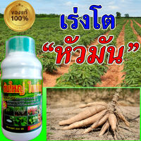 มันหัวใหญ่ ปุ๋ยมันสำปะลัง 500 ซีซี ฮอร์โมนระเบิดหัว เร่งแป้ง ปุ๋ยเร่งรวงข้าว ระเบิดหัวมัน ปลอดสารพิษ100 %