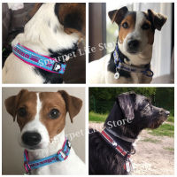 Truelove Soft Slip ปลอกคอสุนัขสะท้อนแสงปรับ P Chain Training Choke Collars Dog Training For Small Medium Large Dogs