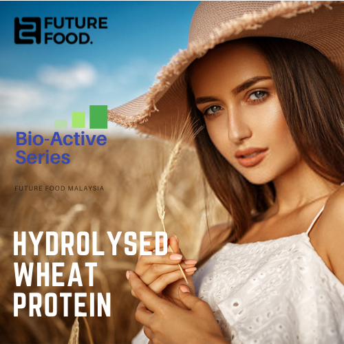 Hydrolyzed Wheat Protein Ecocert USA Lazada